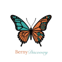 Berny Discovery