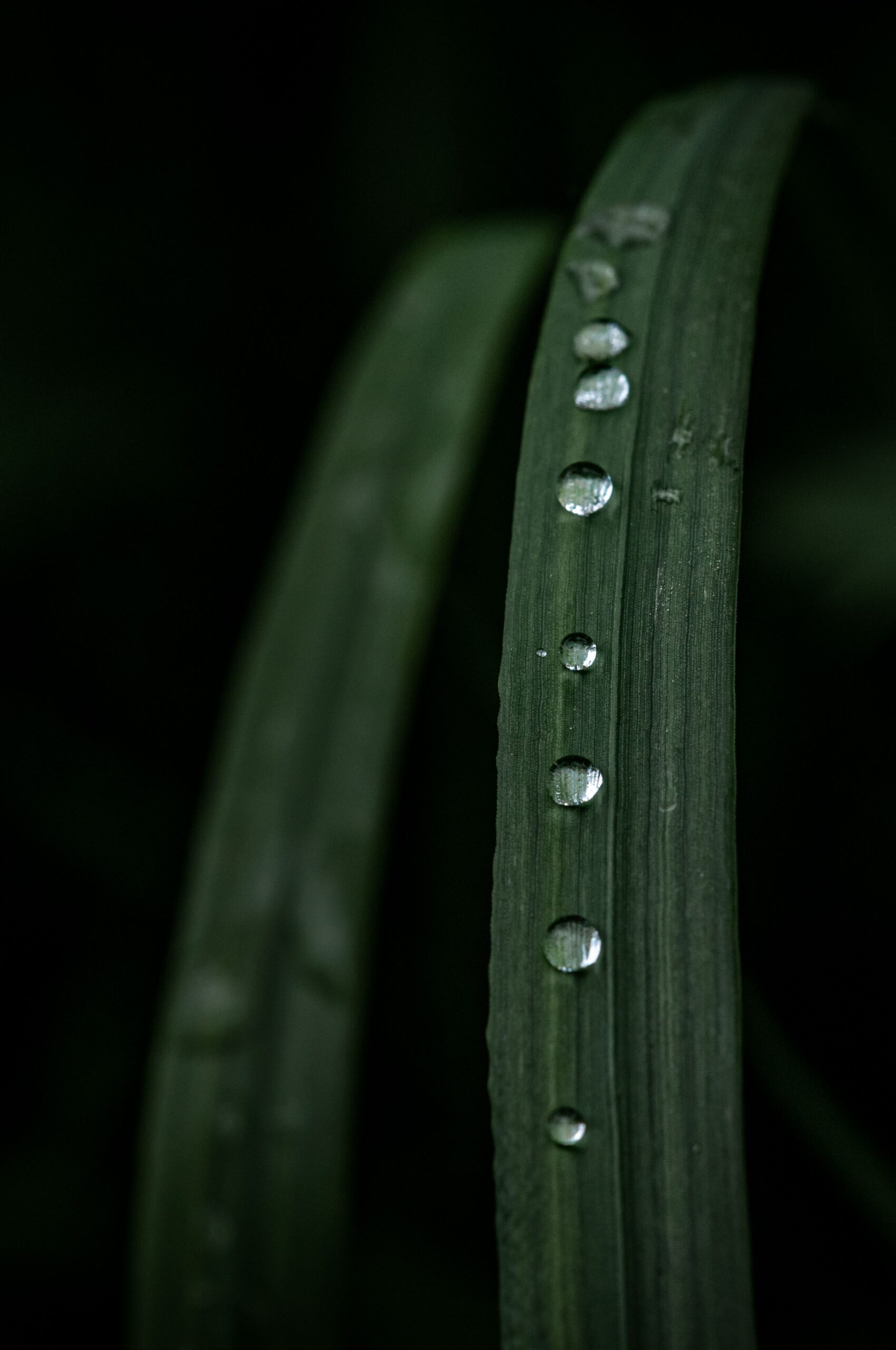 Pexels 119582435