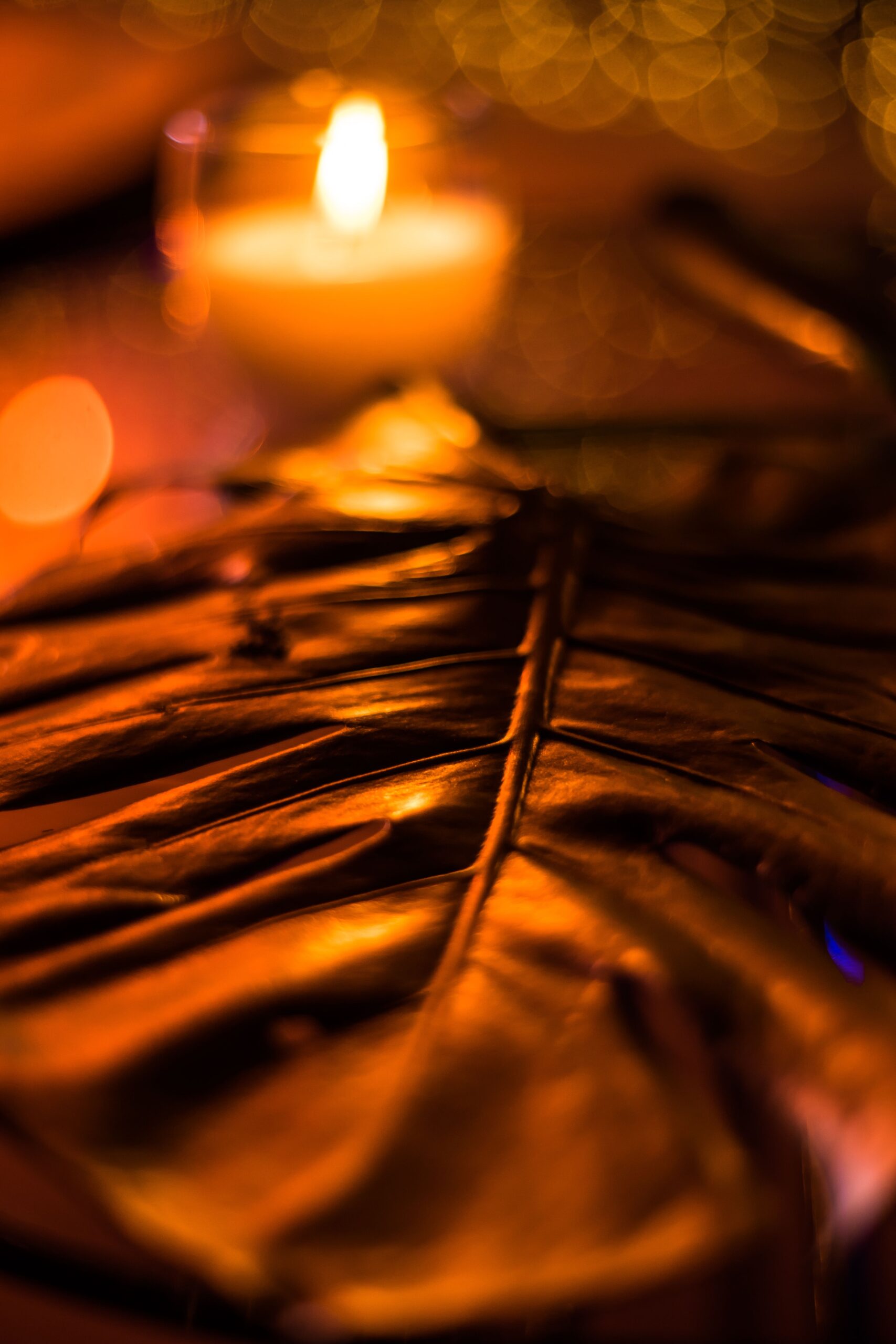 Pexels luisbecerrafotografo